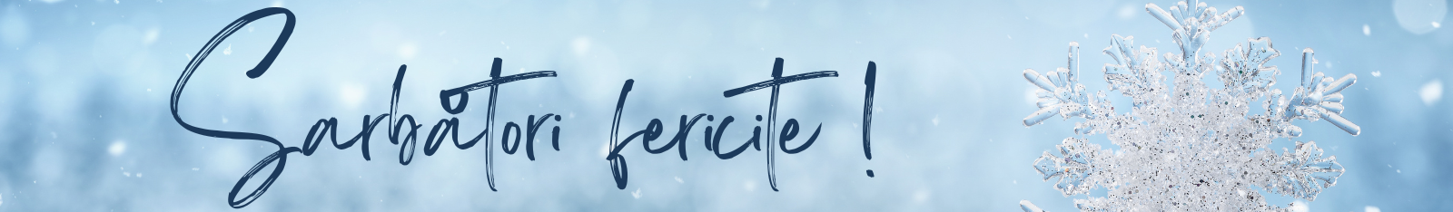 sarbatori fericire secretariat